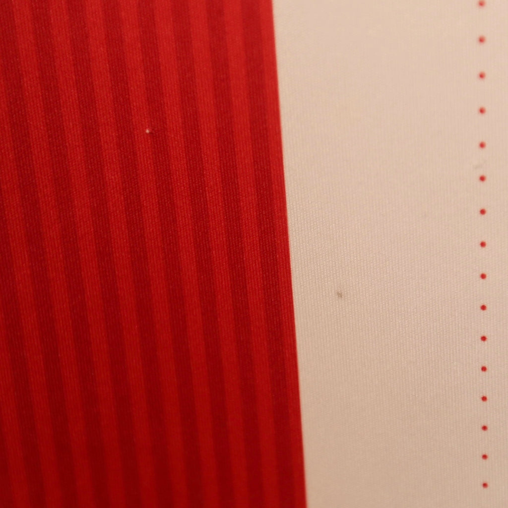 Chivas 16/17 Home - Size M - Authentic Puma