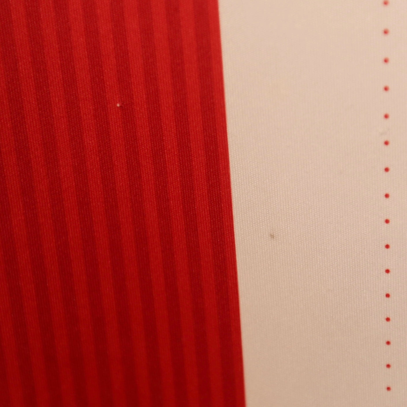 Chivas 16/17 Home - Size M - Authentic Puma