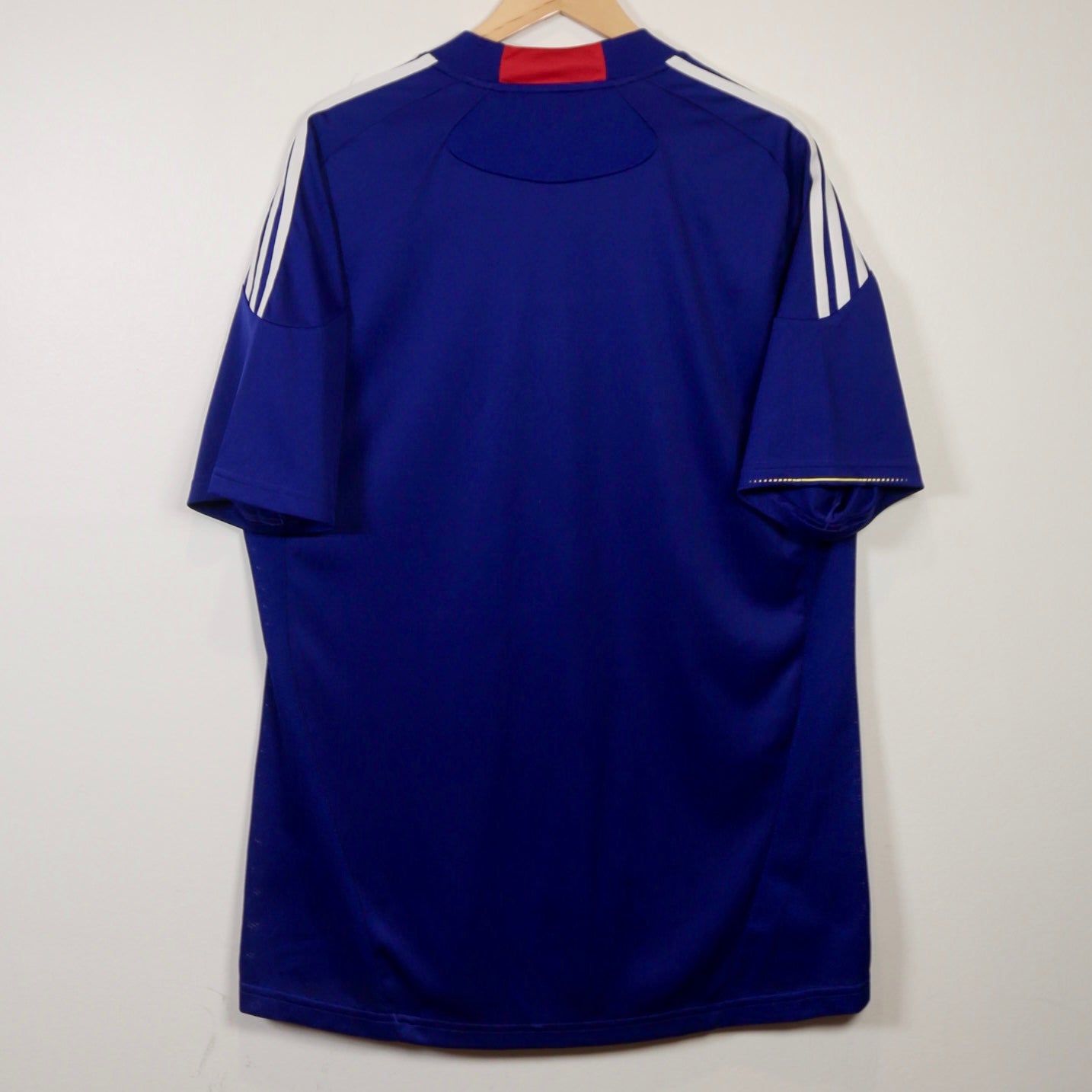 Japan 2010 Home - Size L