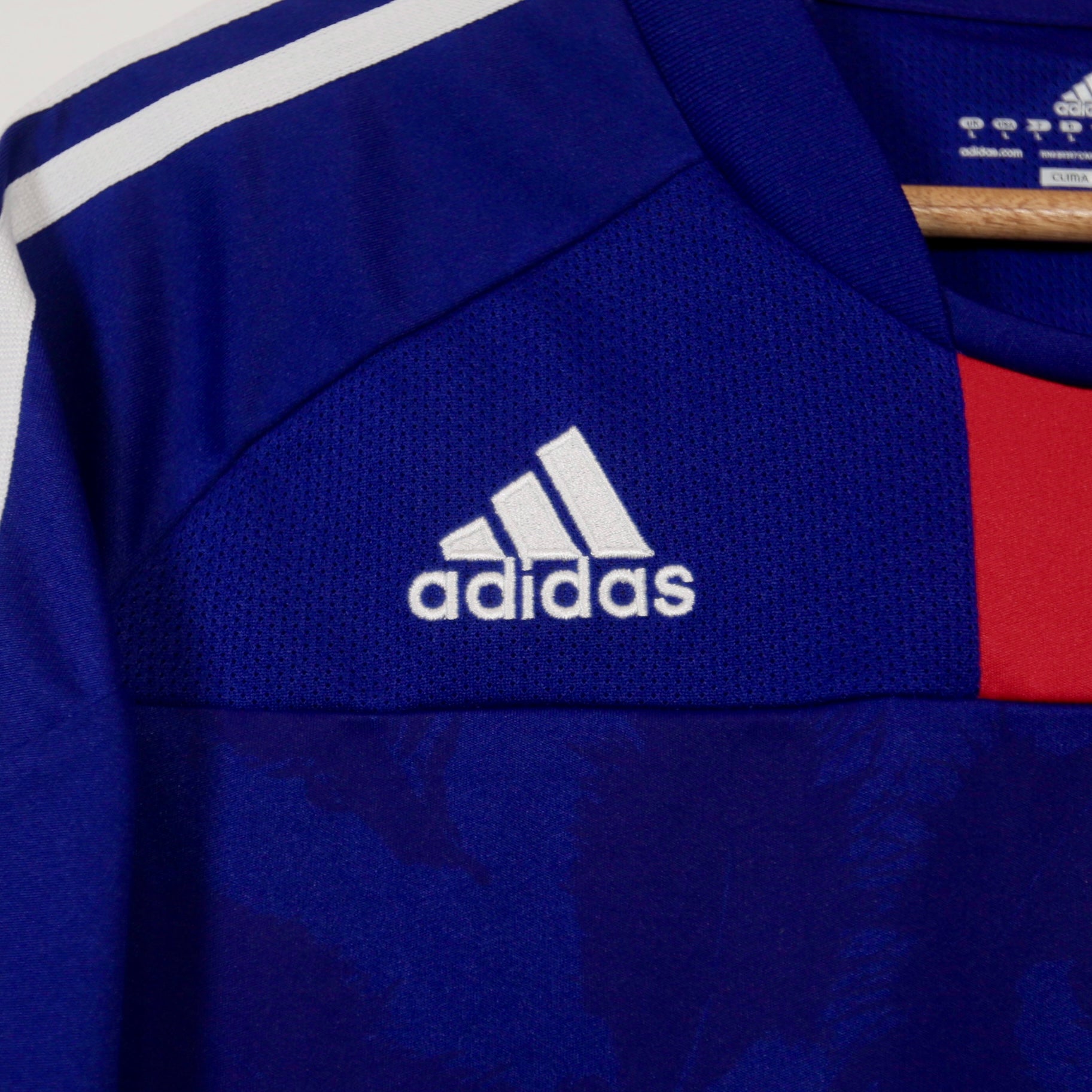 Japan 2010 Home - Size L