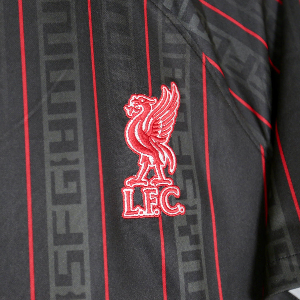 Liverpool x LeBron James 23/24- BNWT - Size M