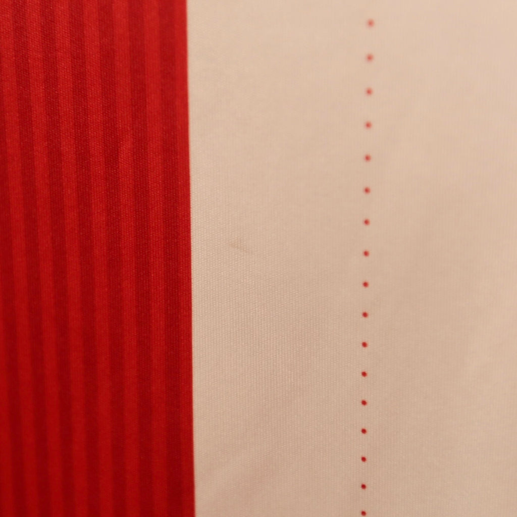 Chivas 16/17 Home - Size M - Authentic Puma