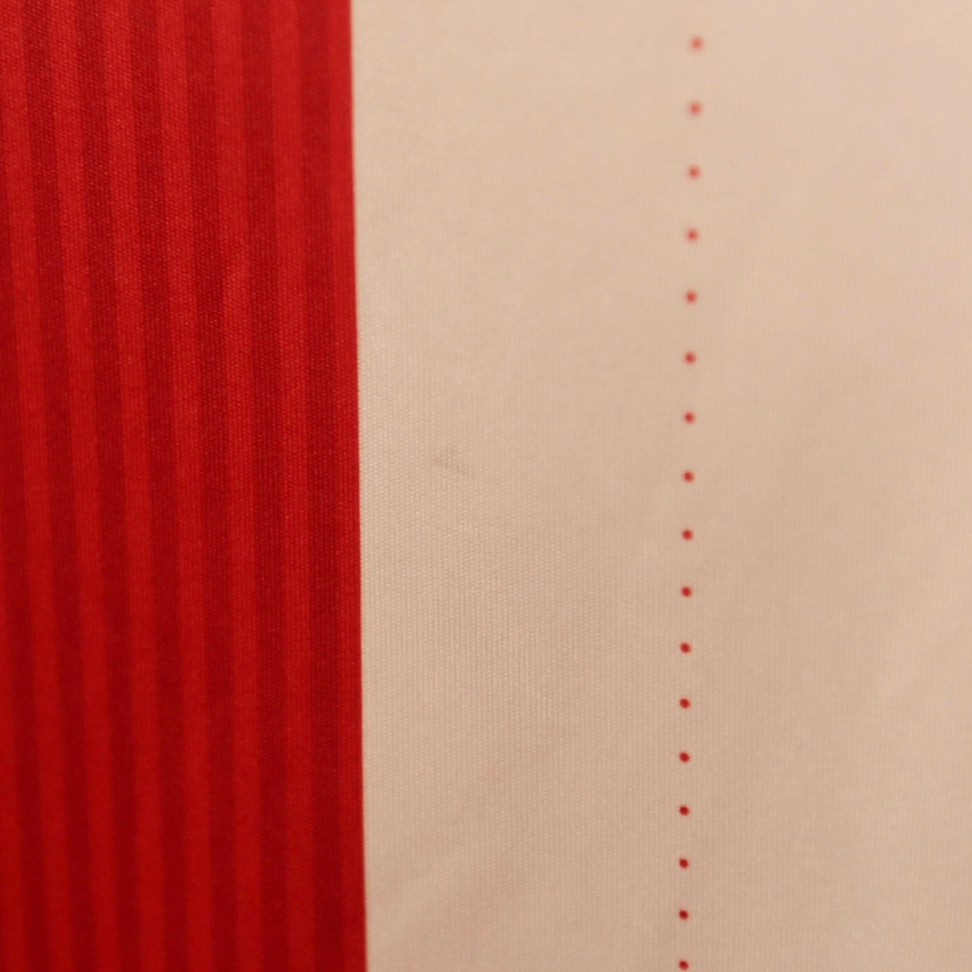 Chivas 16/17 Home - Size M - Authentic Puma