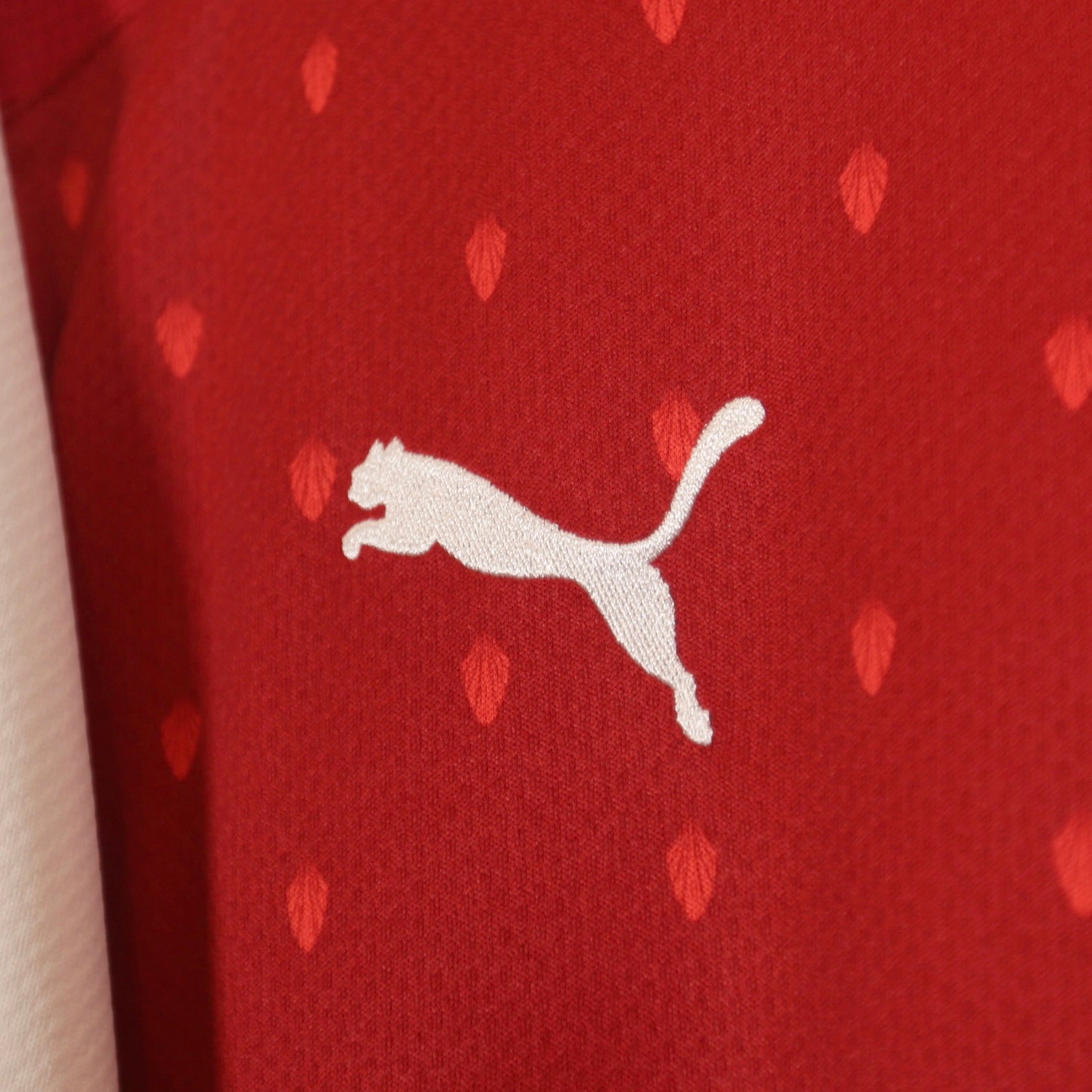 Austria 2020 Home - Size XL - Authentic Puma