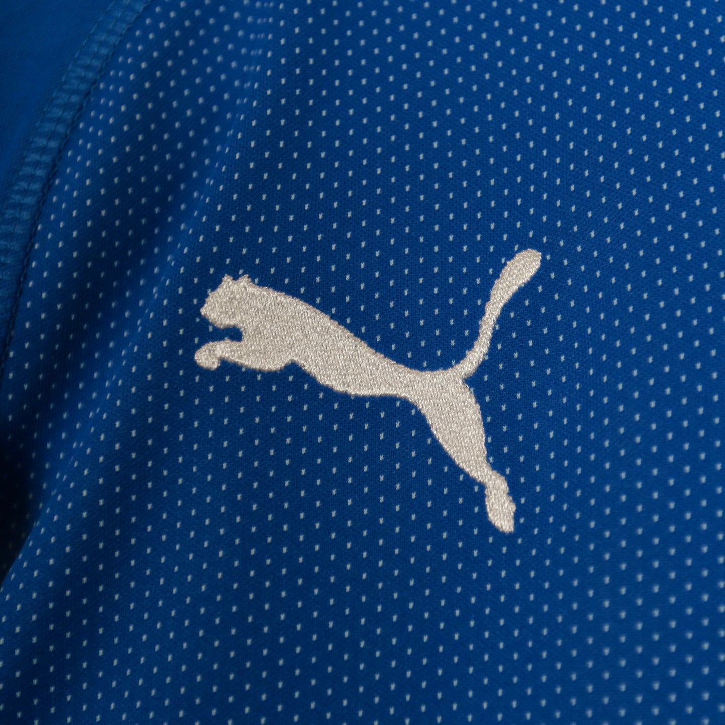 Italy 2018 Home - Long Sleeves - Gianluigi Buffon - Size M - Authentic Puma